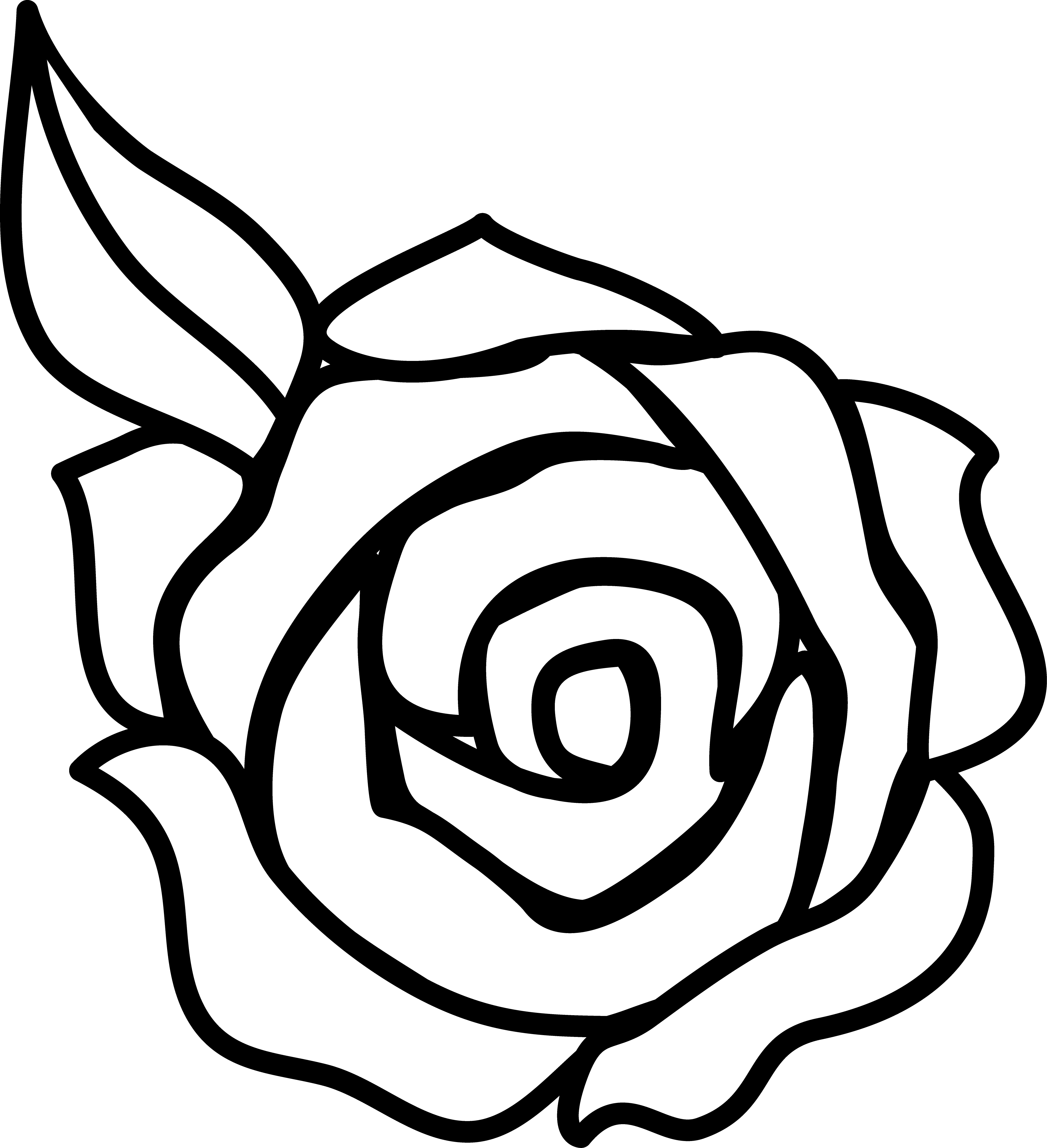 drawings of black roses