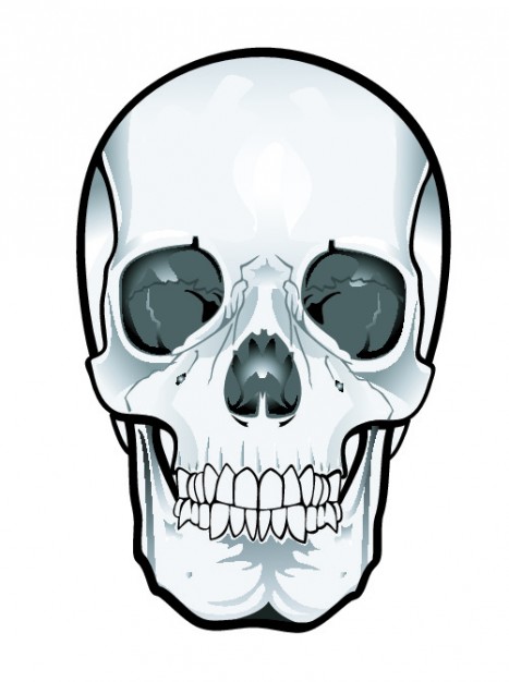 human skull clip art - photo #19
