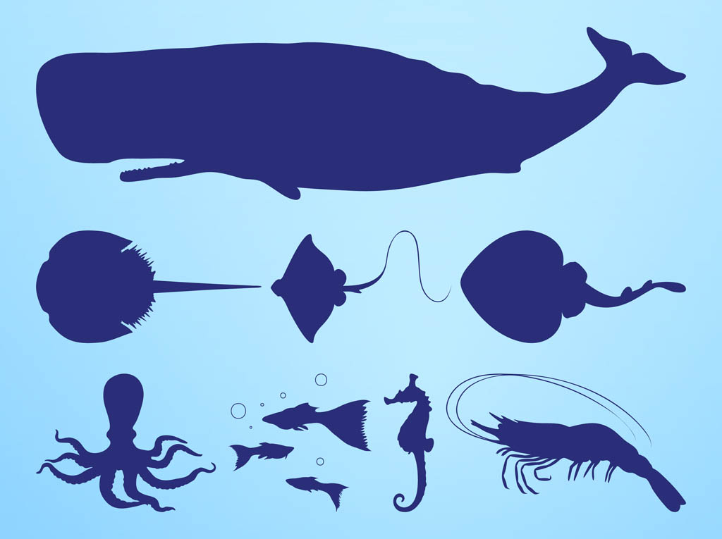 free-whale-silhouette-download-free-whale-silhouette-png-images-free