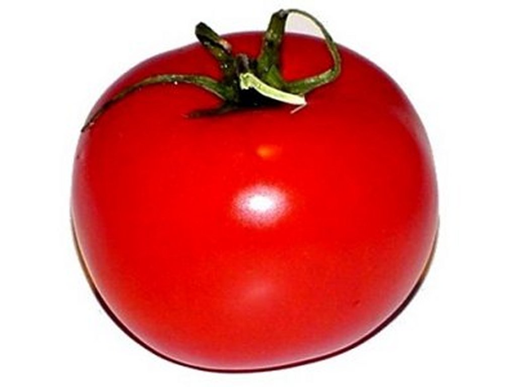 Tomato Seeds Clipart