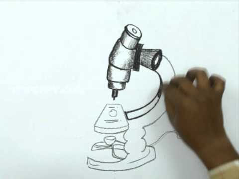 How to Draw a Microscope - YouTube