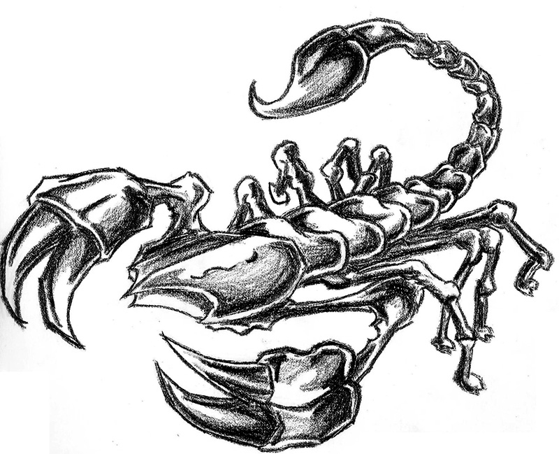 Scorpion by Nme666 on Clipart library