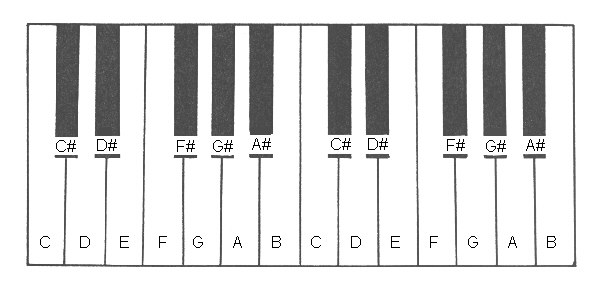 36. Piano Key tops- white and black