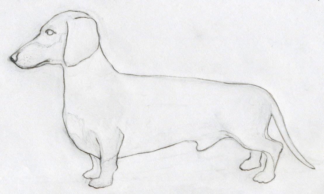Free Dogs Drawings, Download Free Dogs Drawings png images