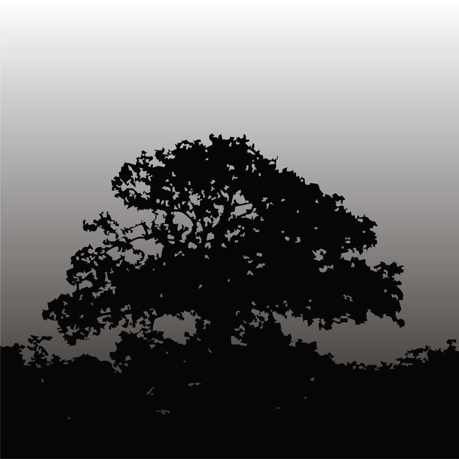 Vector for free use: Black tree vector