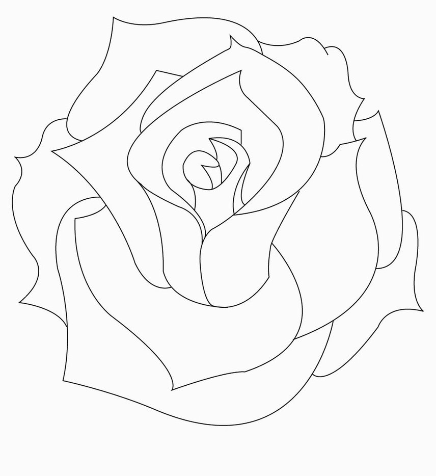Easy Realistic Easy Rose Drawing Outline imgwimg