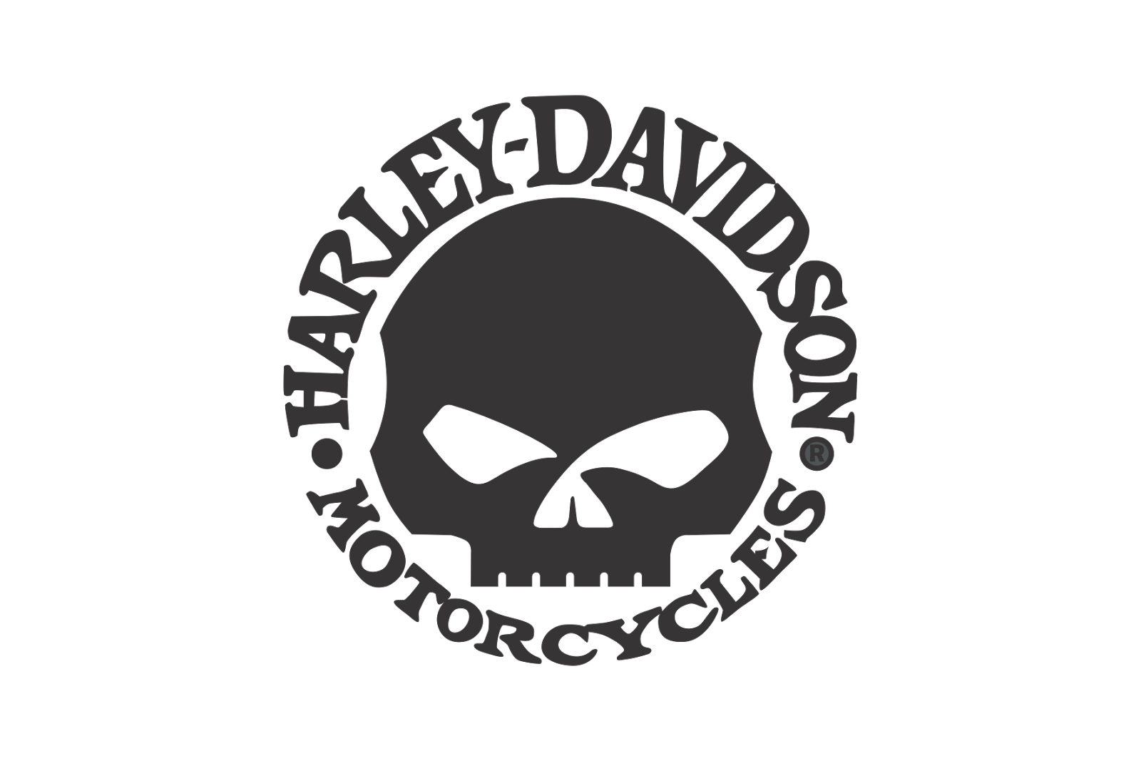 Logo+Harley Davidson Skull