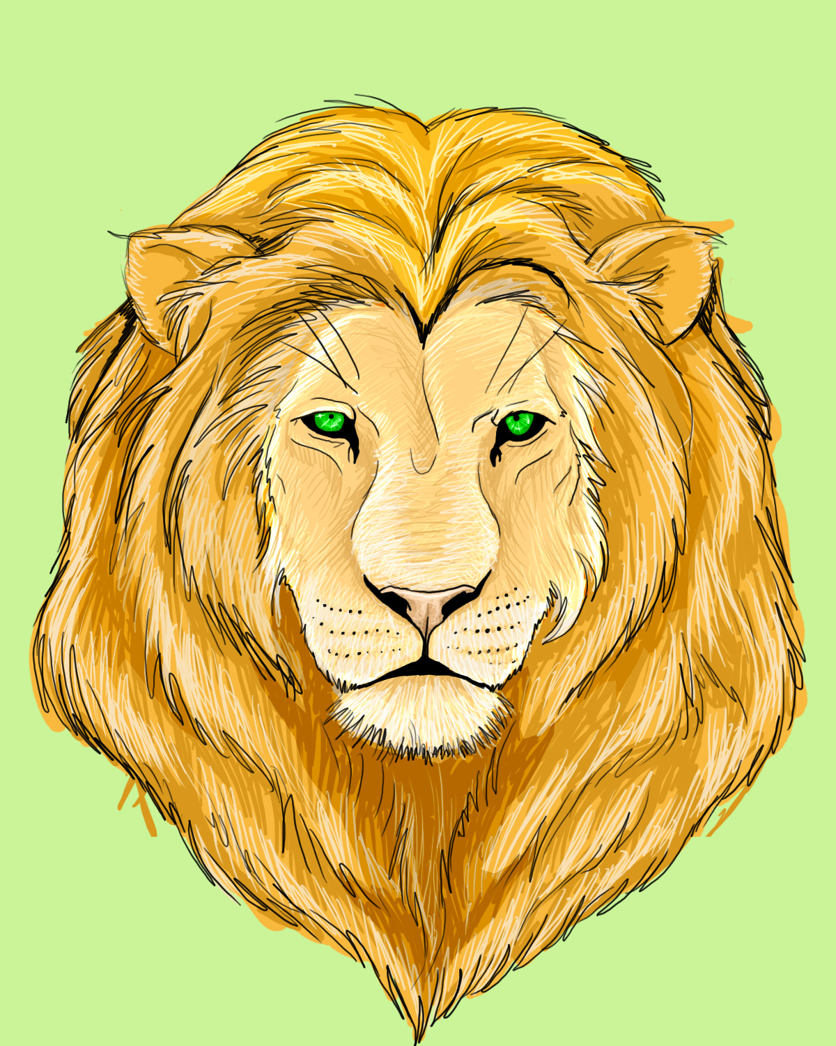 Lion Colour Drawing Images Goimages Insight