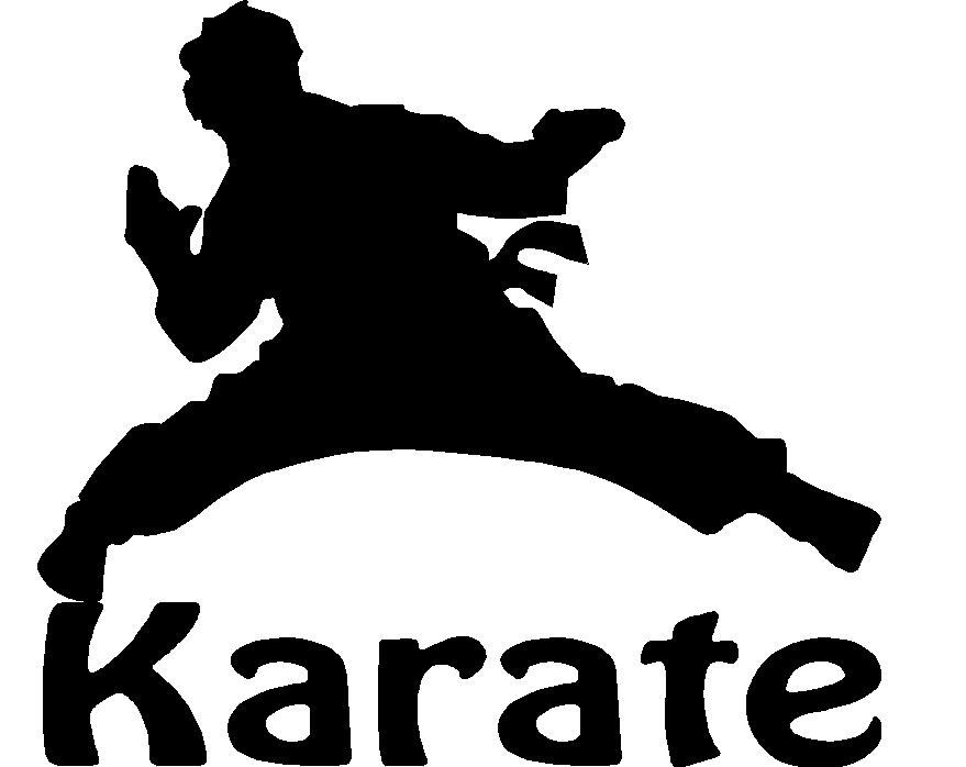 Karate Kid Decal, sport decals, spirit decals, sport spirit 
