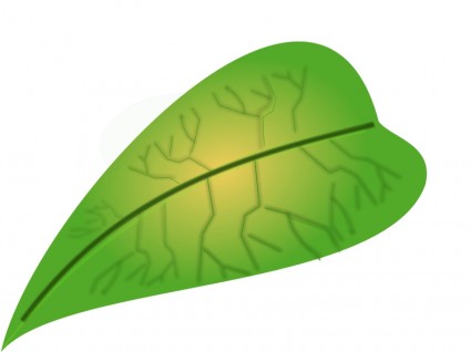 Green leaf clipart Free vector for free download (about 169 files).