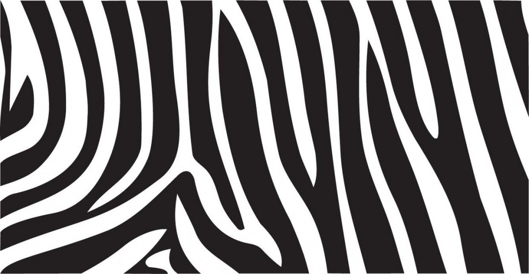 Zebra Backgrounds 31 HD Wallpaper Background And Wallpaper Home 