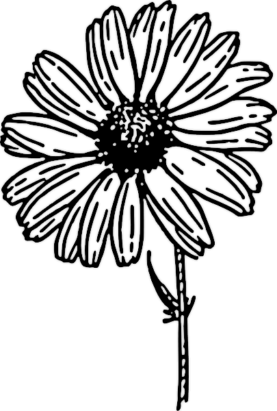 Flower Clip Art Black And White - Gallery