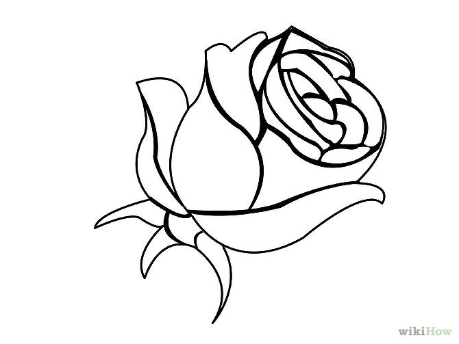 How to Draw a Blue Rose: 7 Steps (with Pictures) - wikiHow