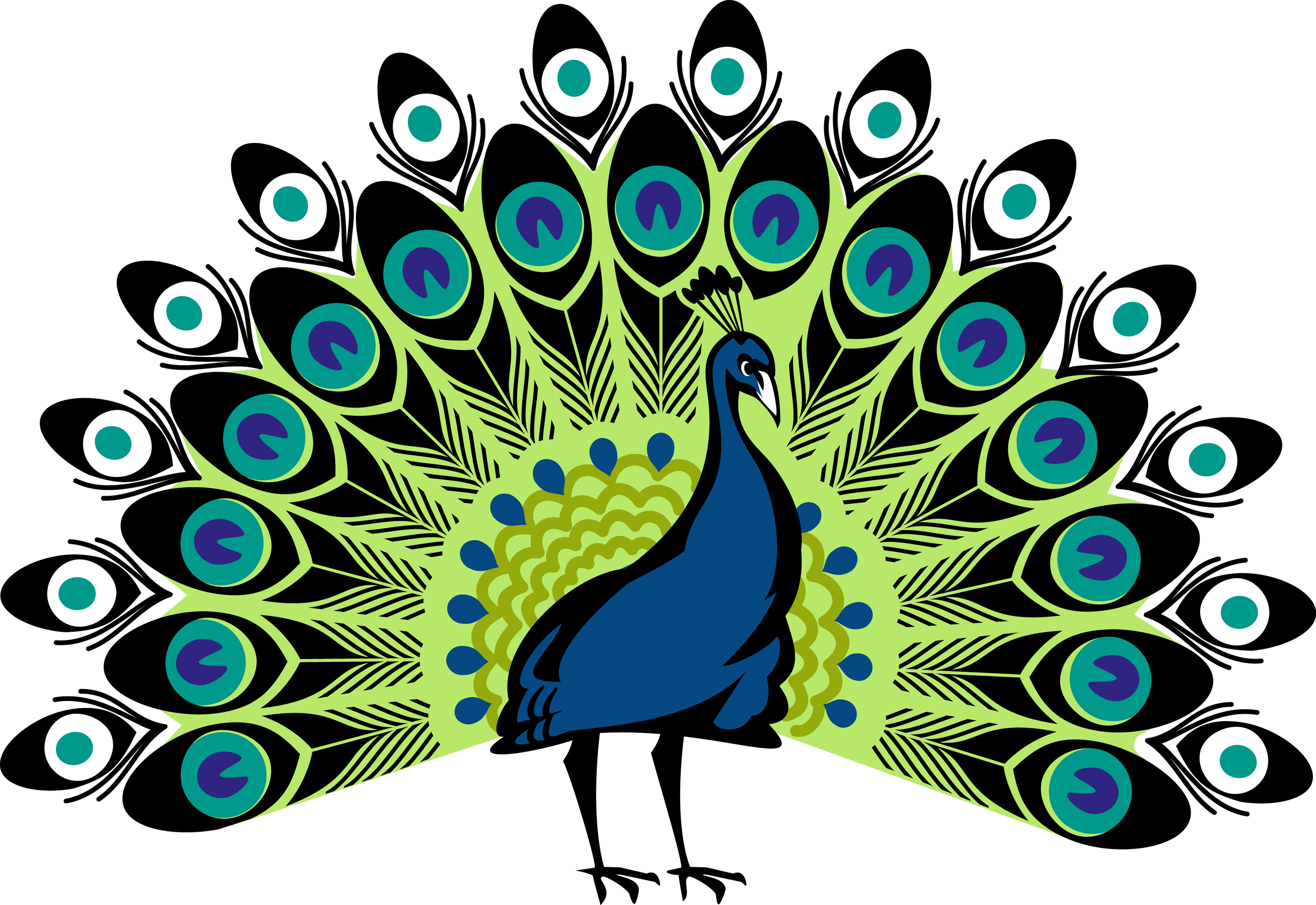Free Simple Colorful Peacock Drawing Download Free Clip Art Free Clip Art On Clipart Library
