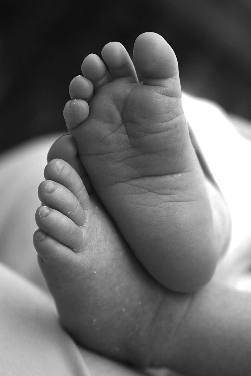 Free Baby Feet, Download Free Baby Feet png images, Free ClipArts on