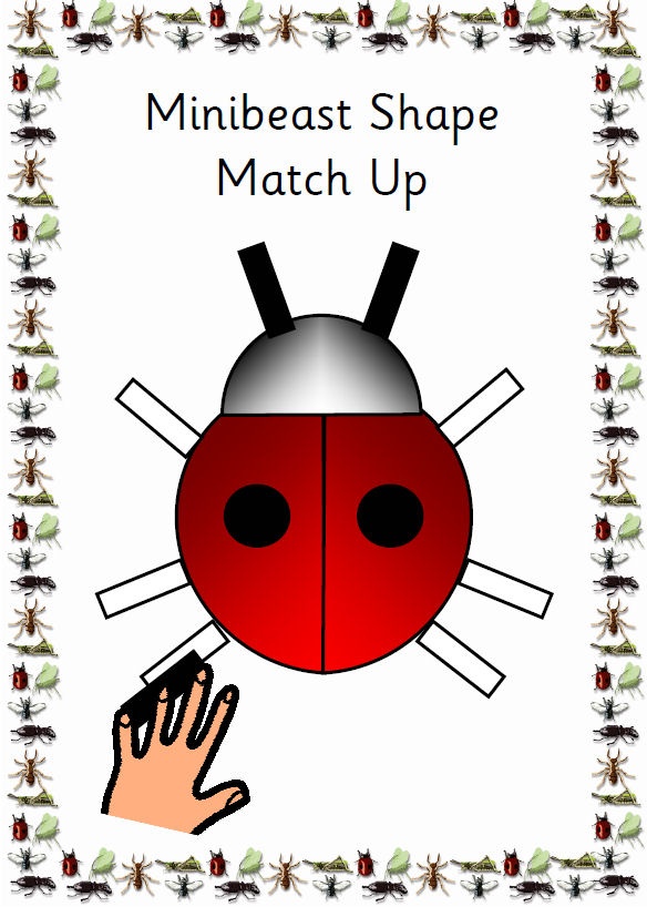 Pin by TES Special Ed on Minibeast resources for pupils with SEN | Pi?