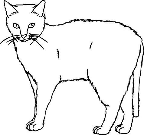 Cat Line Art by Abiadura on Clipart library