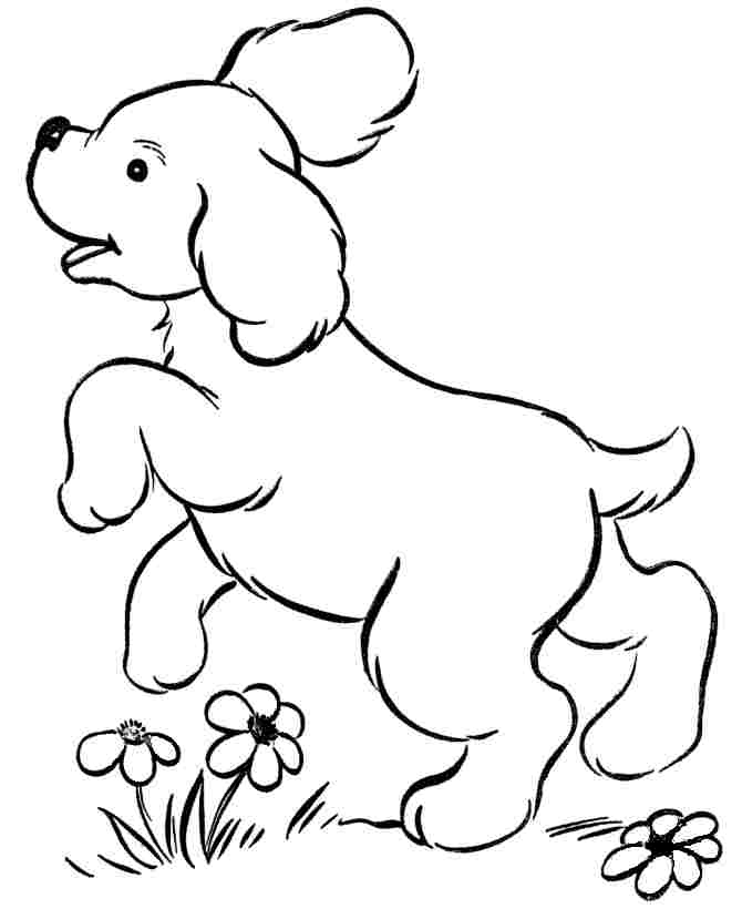 Puppy Dog Over The Flower Coloring Pages For Girls Printable #517.