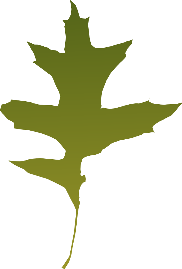 Leaf oak Green Clipart, vector clip art online, royalty free 