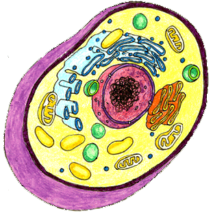 download molecular biology