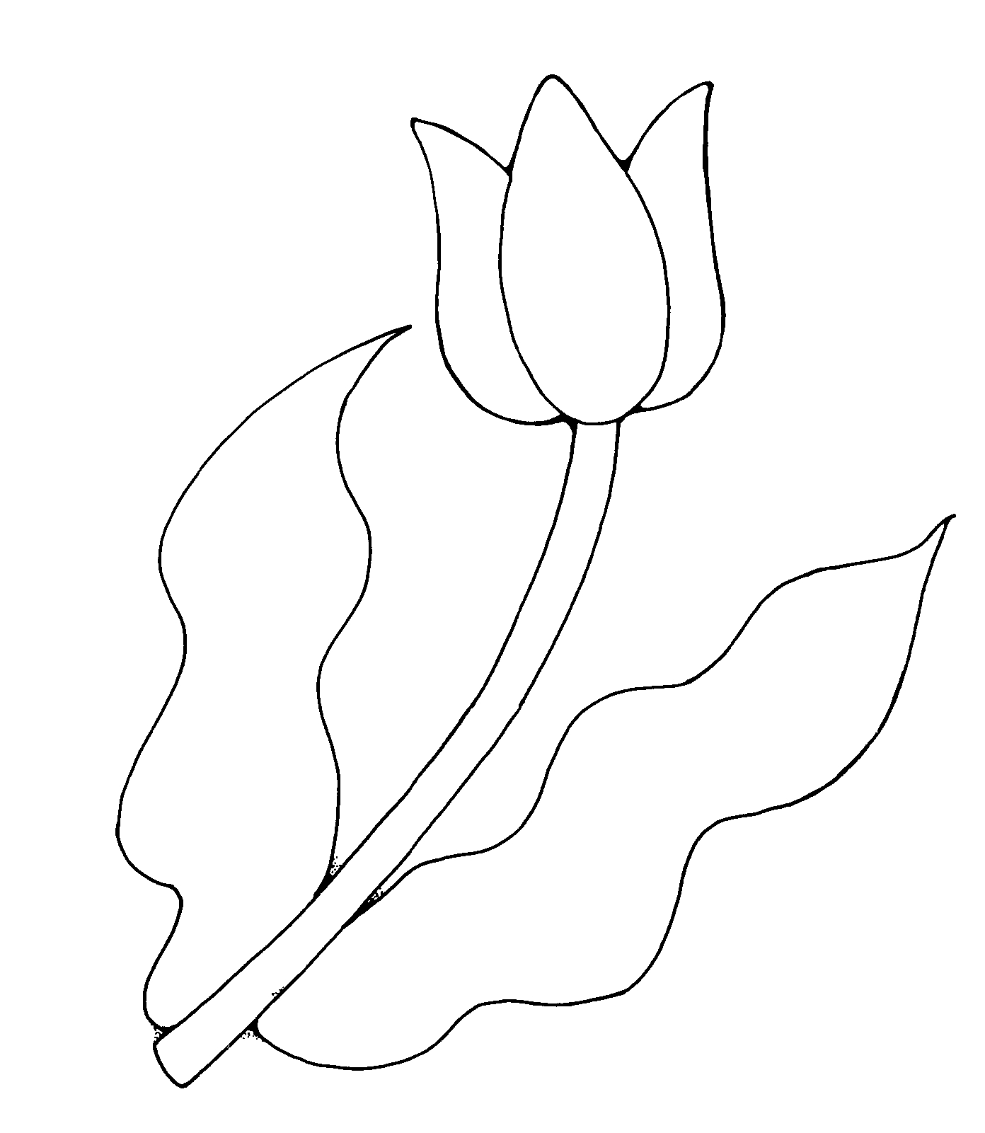 tulip clip art free black and white - photo #45