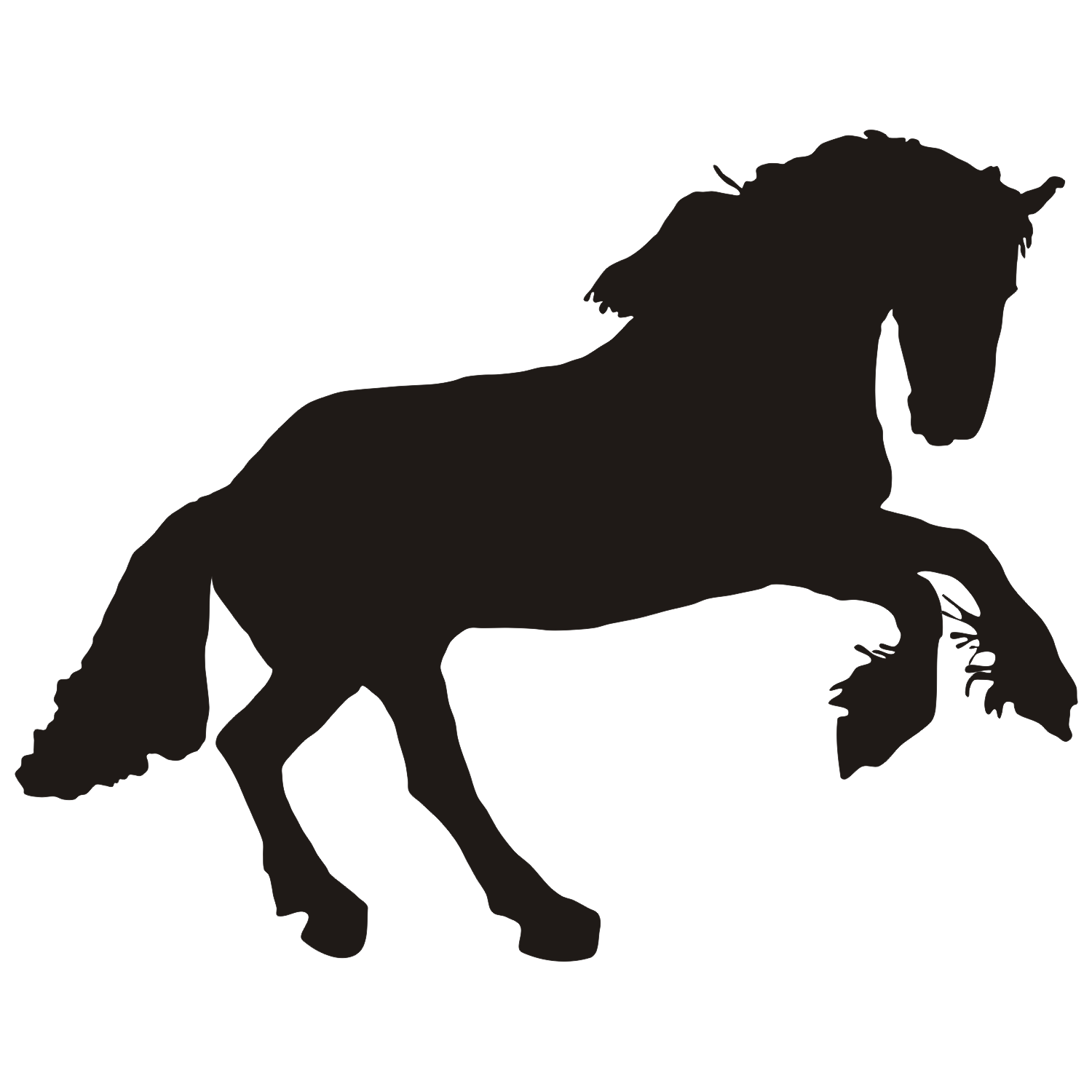 Horse Silhouette Vector 