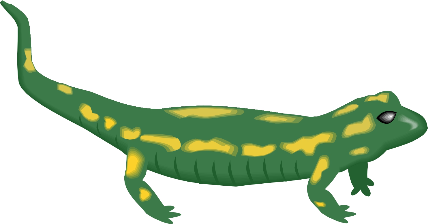 Cartoon Lizard | Page 2 - Clipart library - Clipart library