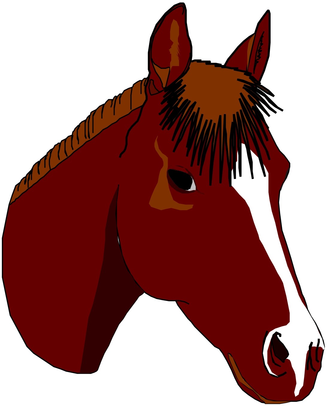 Free Images Of Horses Heads, Download Free Images Of Horses Heads png