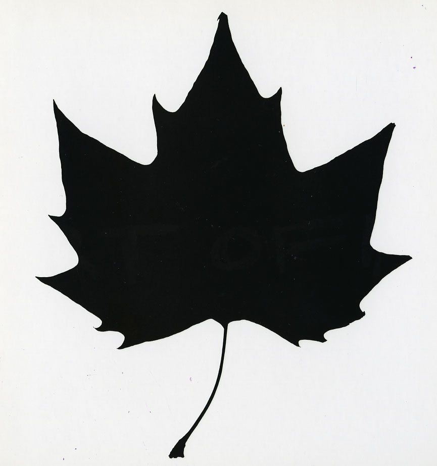 Images For  Black And White Maple Leaf