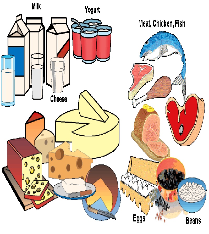 Go Grow Glow Foods Chart