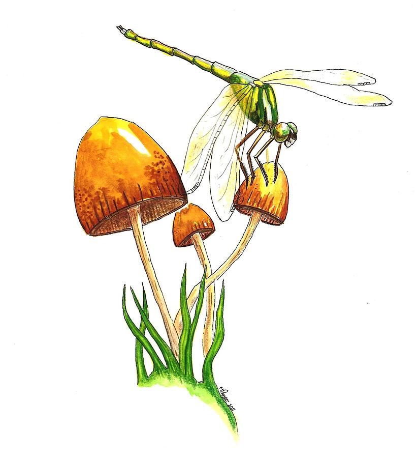 Dragonfly On Mushroom by Michael Prosper - Dragonfly On Mushroom 