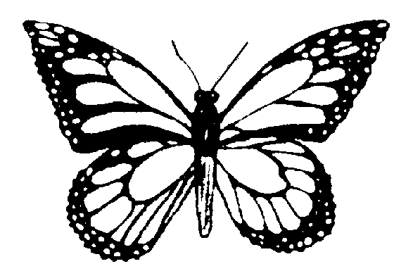 Flying Butterfly Clip Art - Clipart library