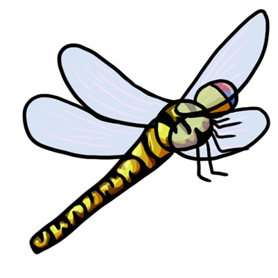 50 FREE Dragonfly Clip Art 10