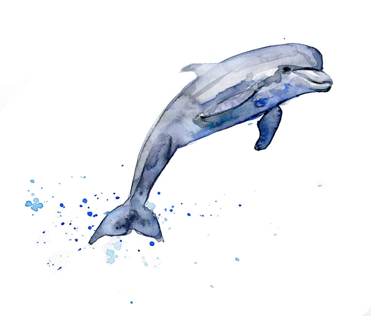 Giclee art print of a Dolphin watercolor painting. by Zendrawing