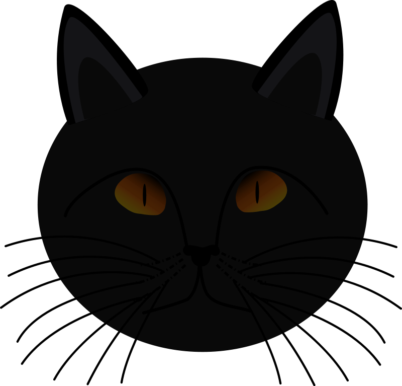 Black Cat Face | animalgals