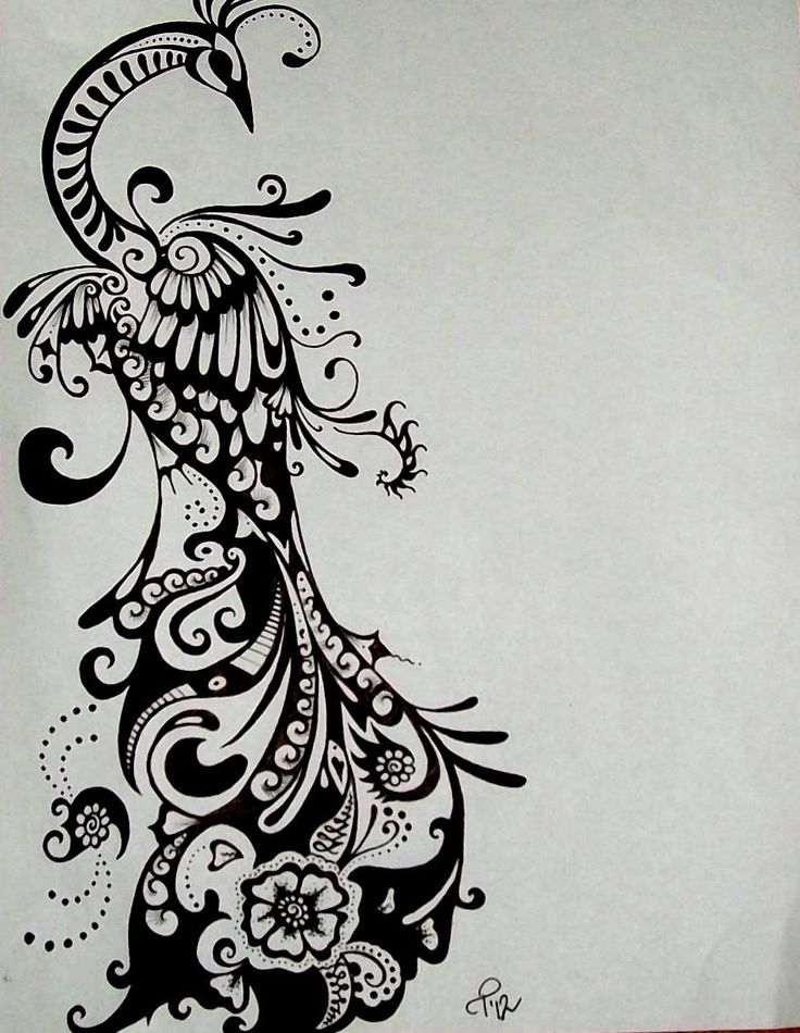 Featured image of post Peacock Design Black And White : Find &amp; download free graphic resources for black and white.