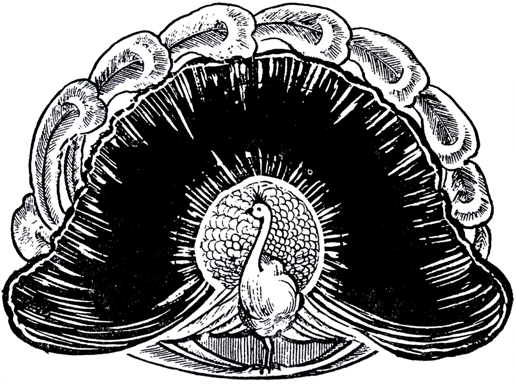 Free Black And White Peacock Designs, Download Free Black And White