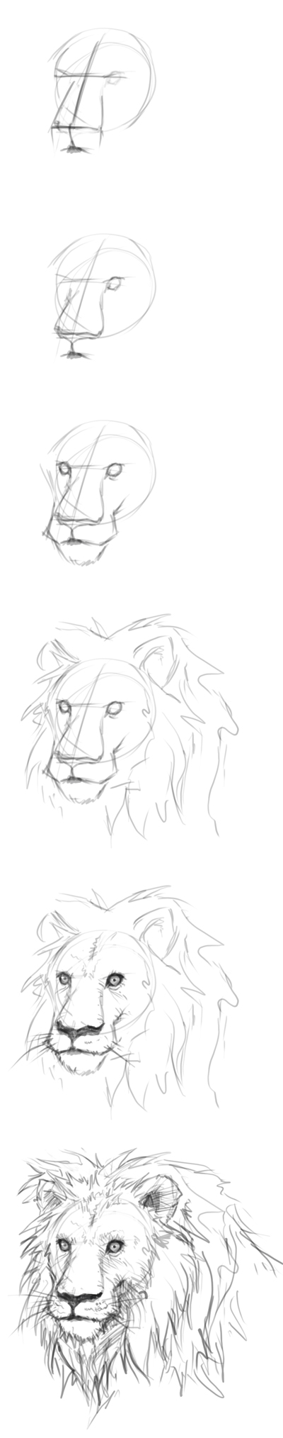 How to draw lion | Digital painting and drawing video tutorials 