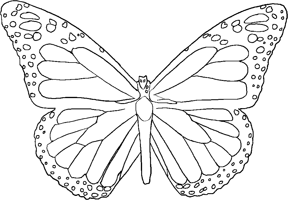 Symmetry Butterfly Page Coloring Pages