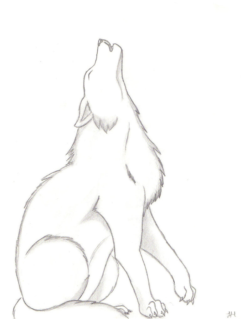 Free Easy Wolf Drawings, Download Free Easy Wolf Drawings png images