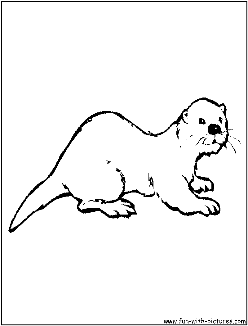 Otter Coloring Pages, otter105 - Drawing Kids