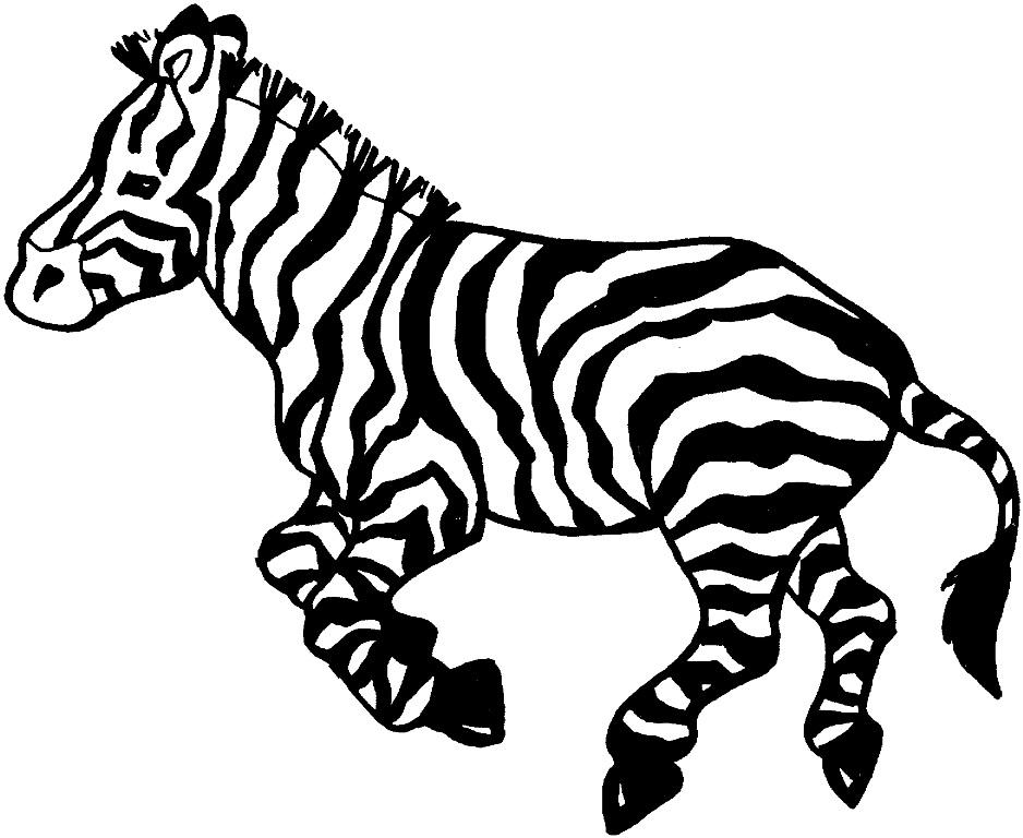 Baby Zebra Coloring Pages - Printable Zebra Coloring Pages for 