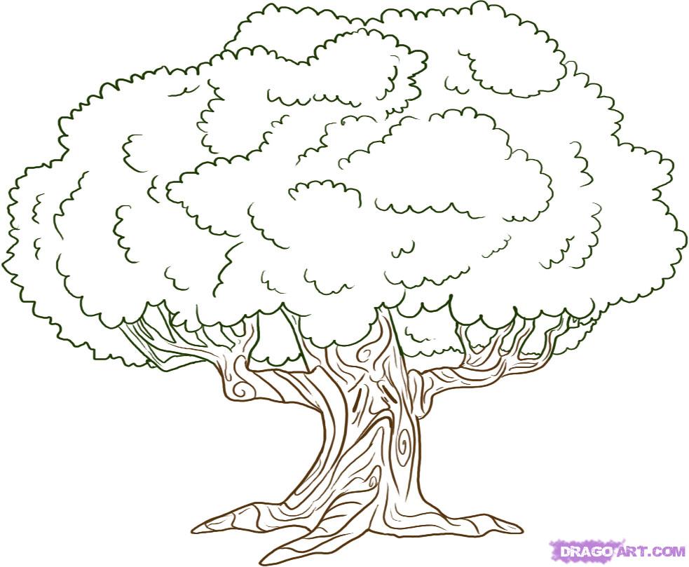 simple tree drawings step by step