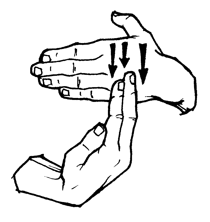 bread American Sign Language (ASL)