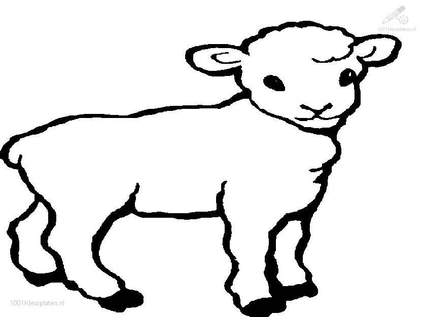 Lamb-coloring-pages-6 | Free Coloring Page Site