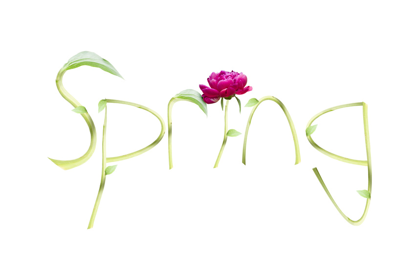 Time for Spring | Backlit With Joy