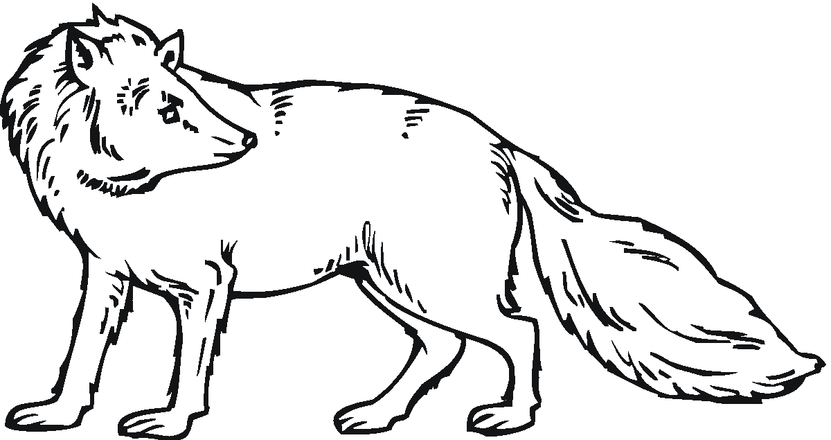 Free Fox Images Free, Download Free Clip Art, Free Clip Art on Clipart