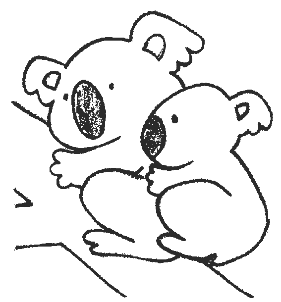Koala coloring pages - Clipart library - Clipart library