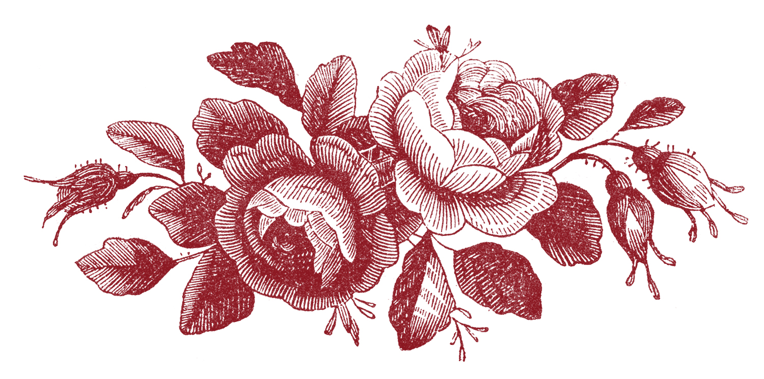 Roses-Engraving-Godeys-GraphicsFairyred1 - The Graphics Fairy
