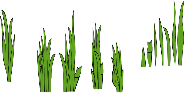 Cartoon Blade Of Grass 